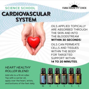 Essential Oils and the Cardiovascular System